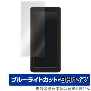 SONY �|�[�^�u���f�[�^�g�����X�~�b�^�[ PDT-FP1 �ی� �t�B���� OverLay Eye Protector 9H �t���ی� 9H ���d�x �u���[���C�g�J�b�g