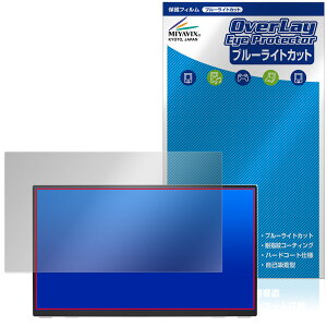amadana 15.6�C���` �t��HD �|�[�^�u���f�B�X�v���C DP10 �ی�t�B���� OverLay Eye Protector for �A�}�_�i �t���ی� �u���[���C�g�J�b�g