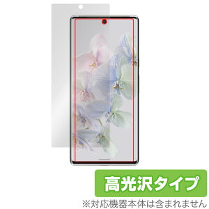 Google Pixel 6 Pro �w��F�ؑΉ� �ی� �t�B���� OverLay Brilliant for �O�[�O�� �s�N�Z��6 �v�� Pixel6 Pro �t���ی� �w�䂪���ɂ��� �h�w�� ������