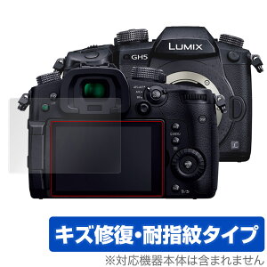 LUMIX GH5S GH5 ی tB OverLay Magic for pi\jbN ~bNX GV[Y GH5S GH5 tی LYC ώw hw R[eBO