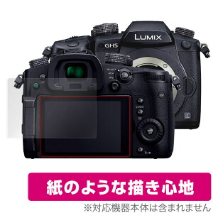 LUMIX GH5S GH5 �ی� �t�B���� OverLay Paper for �p�i�\�j�b�N ���~�b�N�X G�V���[�Y GH5S GH5 ���̂悤�� �t�B���� ���̂悤�ȕ`���S�n