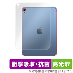 iPad 10 Wi-Fi + Cellular 2022N w ی tB OverLay Absorber  Ռz  R