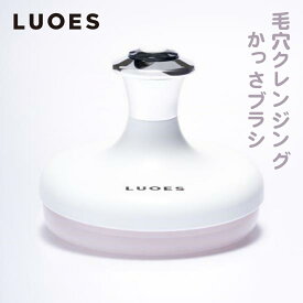 【送料無料】LUOES かっさ ブラシ フェイスブラシ 洗顔ブラシ スキンケア アイケア ツボ押し リフト 洗顔 かっさ シリコン コリ 乾燥肌 敏感肌 防水 毛穴 開き ニキビ 肌荒れ 黒ずみ 角質ケア 洗顔ケア 美顔器 洗顔器 アクネケア クレンジング メンズ レディース