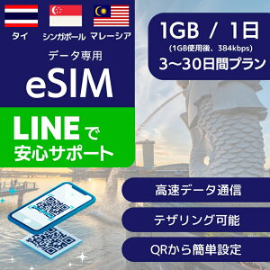^C VK|[ }[VA eSIMf[^py 1GB gp 384kbpsz 3 4 5 7 10 20 30 fC[v Ki vyChSIM e-SIM AWA oRN v[Pbg }[CI 