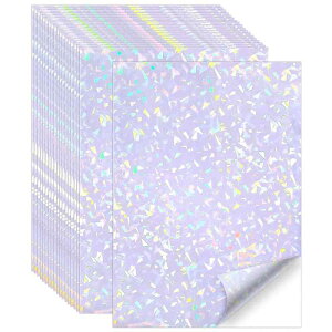 COOLBOTANG �z���O���� �V�[�� ����ł��� 20�� A4�T�C�Y �X�e�b�J�[�p�� �z���O�������x���V�[�� �z���O���t�B�b�N ���� �h�� ������ ���S�� �͂����� �L���L�� DIY�X�e�b�J�[ �C���N�W�F�b�g/