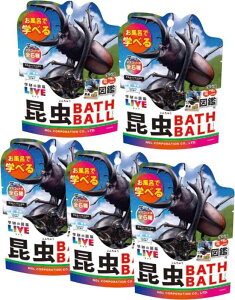 y5Zbg + AălbgtzmR[|[V w̐}ӃCu  oX{[2 GKN-10-01 }XRbg   oX{ oXObY Y_  ~j}ӕt j̎q m