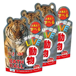  oX{[ w̐}LIVE  3Zbg }XRbg C  oX{ q Mtg