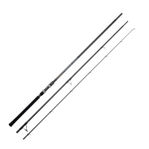 �V��(Tenryu) �X���b�g SW