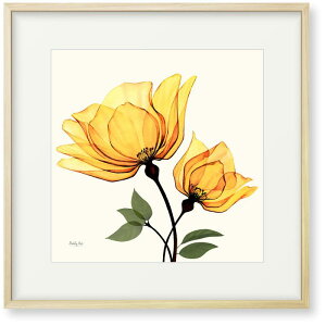 GuIWF̉ԁvCeA G  A[gpl z