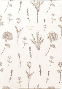 GR~[ }gJ 蒠 2025N 1n܂ B6 }X[ {^jJ XyV