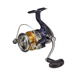_C(DAIWA) XsjO[ 20 NXg LT (2020f)