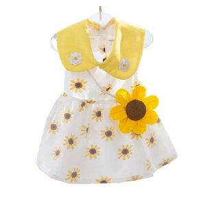 YBGGJO  Ђ܂ `[ s[X Tt[ hX Lm Ăh Ȃ ʋC Pl t@bV s[X ^ ^ L U o| LOBe y