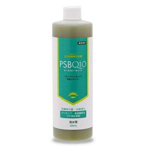 charm(�`���[��) PSBQ10 �s�[�G�X�r�[�L���[�g �W���p 500mL ���_�J ���� �M�ы� �������׋� �o�N�e���A