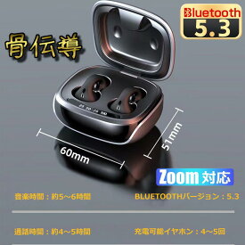 骨伝導イヤホン ごレビューで特典GET！Bluetooth5.3 高音質 骨伝導イヤホン 生活防水 会議/在宅勤務/散歩/スポーツにおすすめ 快適 音漏れ防止耳掛け式 骨伝導イヤホン ワイヤレスイヤホン 骨伝導 ヘッドホン Bluetooth イヤホン マイク付き ワイヤレス イヤホン スポーツ