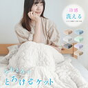＼最大60％OFF！LINE追加クーポンで／とろとろケット 掛け布団 肌掛け布団 夏用掛けふとん 肌に優しい ふわとろ もちもちケット ブランケット 超軽量 洗える ハーフ シングル ダブル セミダブル 冷房対策 オールシーズン