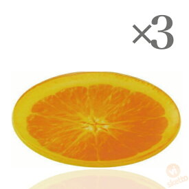 [3本SET] フルーツプレート ≪オレンジ≫ （FRUIT PLATE watermelon 輪切り 果物 インスタ映え 夏 盛り合わせ 皿）
