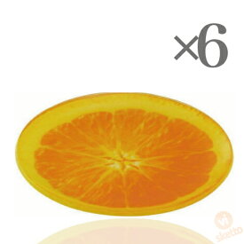 [6本SET] フルーツプレート ≪オレンジ≫ （FRUIT PLATE watermelon 輪切り 果物 インスタ映え 夏 盛り合わせ 皿）