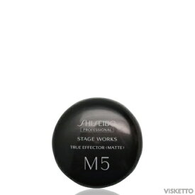 資生堂プロフェッショナル ステージワークス トゥルーエフェクター M5 マット 80g( 資生堂 STAGE WORKS shiseido スタイリング剤 サロン専売品 美容室 ボリュームアップ ヘア )