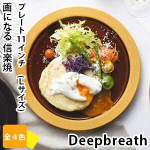 yMyāz Deepbreath 11C`(28cm)v[gM   LTCY M