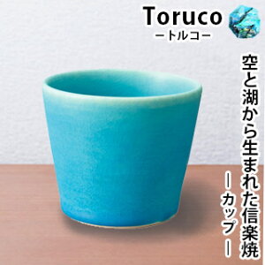 yMyāz Toruco Jbv Tor-1 Rbv  }O  gR N₩ }bgJ[