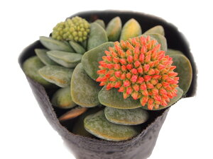 CGi`GjNbX@A@9cm|bgϗtA G  CeA 炵 At }  ~^ Č^