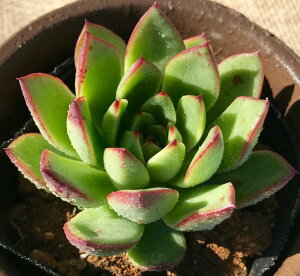 NX}X@GPxA@A@9cm|bgϗtA G  CeA 炵  A ĕ T{e 