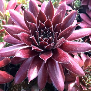 Wk_N@ZyrE@A@9cm|bgϗtA G  CeA 炵nA A q  gt