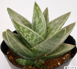 c݁i`_KX~jKXgAG@A@9cm|bg