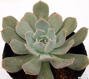 W^@GPxA@A@9cm|bgϗtA G  CeA 炵  A ĕ T{e 