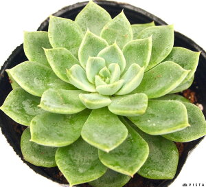 moW@GPxA@A@9cm|bgϗtA G  CeA 炵  A ĕ T{e 