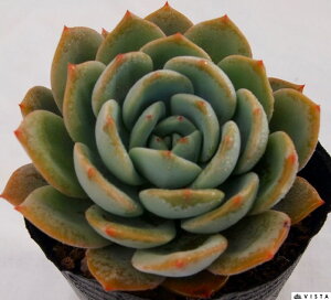 irNj@GPxA@A@9cm|bgϗtA G  CeA 炵  A ĕ T{e 