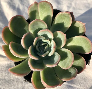 `F[ubT GPxA@A@9cm|bgϗtA G  CeA 炵  A ĕ T{e 