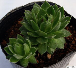 {[C@ZyrE@A@9cm|bgϗtA G  CeA 炵nA A q  gt