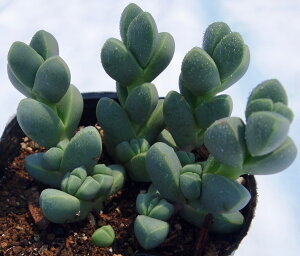 [giEi~j@fXy}@A@9cm|bg