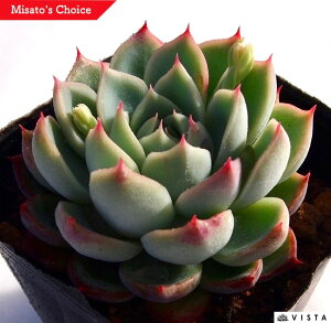 sNNX^@GPxA@A@9cm|bgϗtA G  CeA 炵  A ĕ T{e 