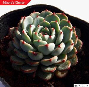 u[~j}@GPxA@A@9cm|bgϗtA G  CeA 炵  A ĕ T{e 