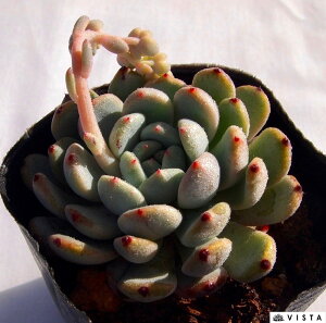 rAe@GPxA@A@9cm|bgϗtA G  CeA 炵  A ĕ T{e 