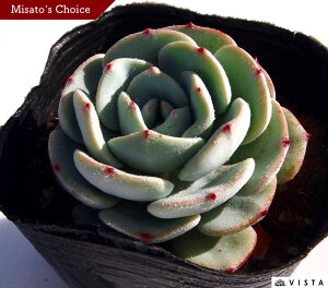 u@GPxA@A@9cm|bgϗtA G  CeA 炵  A ĕ T{e 