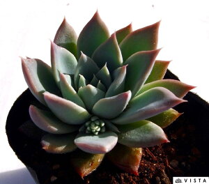 ACXLbX@GPxA@A@9cm|bgϗtA G  CeA 炵  A ĕ T{e 