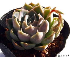 qAixEB@GPxA@A@9cm|bgϗtA G  CeA 炵  A ĕ T{e 