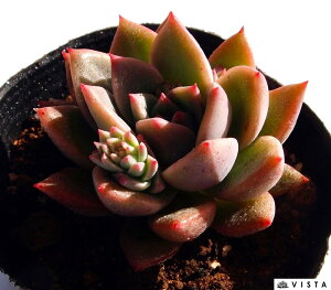 bhG{j[xg[Y@GPxA@A@9cm|bgϗtA G  CeA 炵  A ĕ T{e 