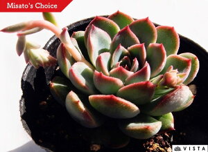 zbg`@GPxA@A@9cm|bgϗtA G  CeA 炵  A ĕ T{e 