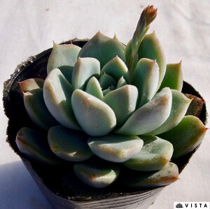 XRiqEUjGPxA@A@9cm|bgϗtA G  CeA 炵  A ĕ T{e 