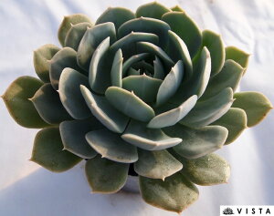 z[[Q[gyfbNXzGPxA@A@10.5cm|bgϗtA G  CeA 炵  A ĕ T{e 