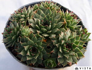 bejAiyfbNXzZyrE@A@10.5cm|bgϗtA G  CeA 炵nA A q  gt