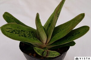 g[eB@KXeA@A@9cm|bgϗtA G  CeA 炵 A  x eE |bg