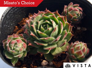 Ehr ZyrE@A@9cm|bgϗtA G  CeA 炵nA A q  gt