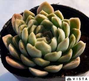 q[~X@nCubg@GPxA@A@9cm|bgϗtA G  CeA 炵  A ĕ T{e 