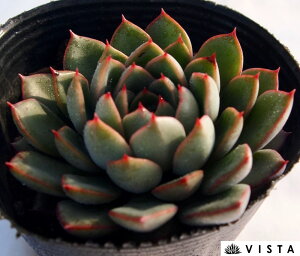 v~XGOI@GPxA@A@9cm|bgϗtA G  CeA 炵  A ĕ T{e 