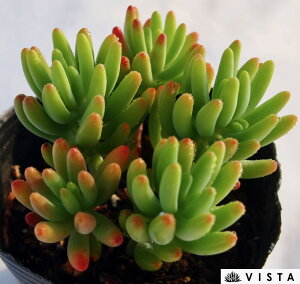 i`j@Z_@A@9cm|bgϗtA G  CeA 炵 A Aؔ rO A gt